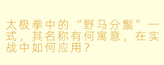 太极拳中的“野马分鬃”一式，其名称有何寓意，在实战中如何应用？