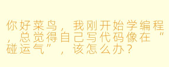 你好菜鸟，我刚开始学编程，总觉得自己写代码像在“碰运气”，该怎么办？