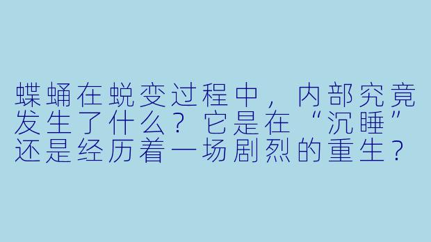 蝶蛹在蜕变过程中，内部究竟发生了什么？它是在“沉睡”还是经历着一场剧烈的重生？-蝶蛹