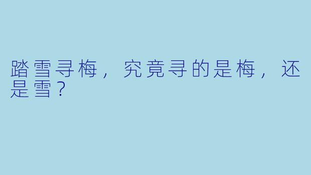 踏雪寻梅，究竟寻的是梅，还是雪？