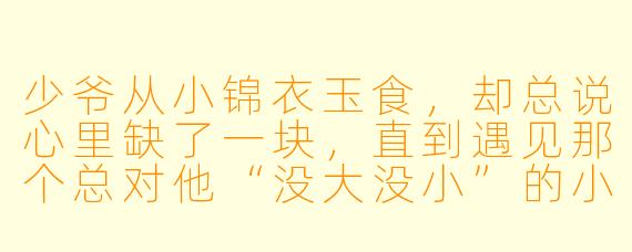 少爷从小锦衣玉食，却总说心里缺了一块，直到遇见那个总对他“没大没小”的小丫鬟。所有人都说这丫鬟不懂规矩，可为什么少爷却觉得，她才是他缺失的那块拼图？