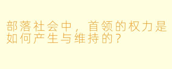部落社会中，首领的权力是如何产生与维持的？