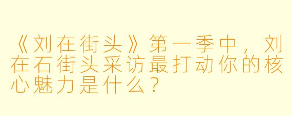 《刘在街头》第一季中，刘在石街头采访最打动你的核心魅力是什么？