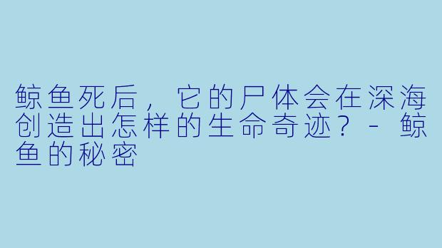 鲸鱼死后，它的尸体会在深海创造出怎样的生命奇迹？-鲸鱼的秘密