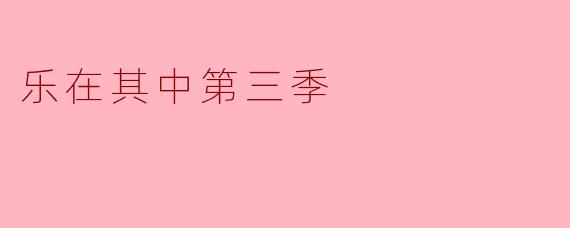 乐在其中第三季