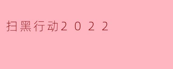 扫黑行动2022