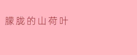 朦胧的山荷叶