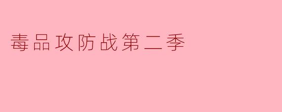 毒品攻防战第二季