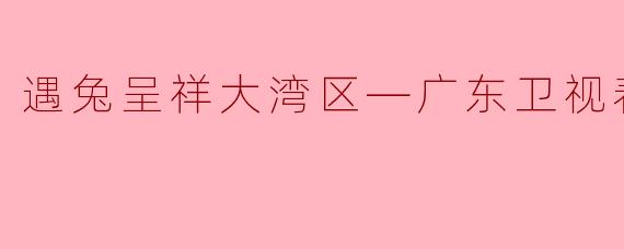 遇兔呈祥大湾区—广东卫视春节晚会