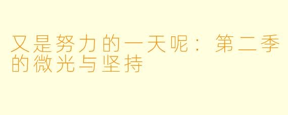 又是努力的一天呢:第二季的微光与坚持