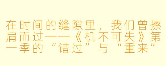 在时间的缝隙里，我们曾擦肩而过——《机不可失》第一季的“错过”与“重来”