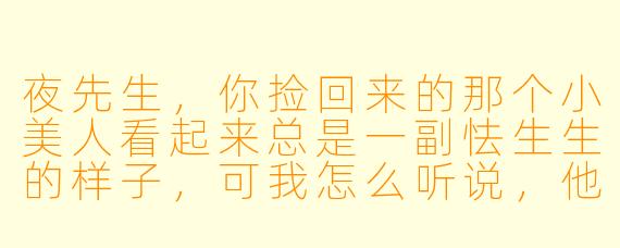 夜先生，你捡回来的那个小美人看起来总是一副怯生生的样子，可我怎么听说，他其实心眼比筛子还多？