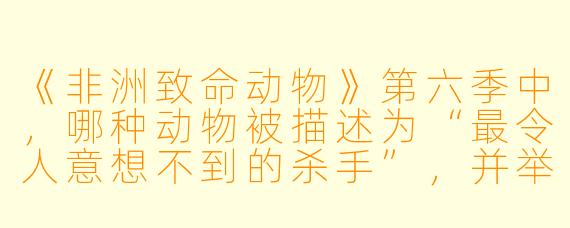 《非洲致命动物》第六季中，哪种动物被描述为“最令人意想不到的杀手”，并举例说明它的致命特点？