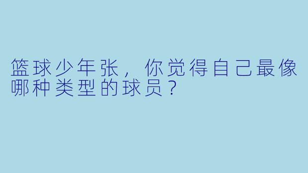 篮球少年张，你觉得自己最像哪种类型的球员？