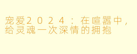 宠爱2024:在喧嚣中,给灵魂一次深情的拥抱