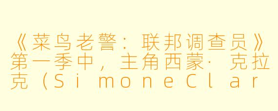 《菜鸟老警：联邦调查员》第一季中，主角西蒙·克拉克（SimoneClark）作为FBI历史上最年长的“菜鸟”特工，她最大的挑战是什么？