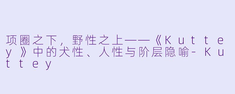 项圈之下,野性之上——《Kuttey》中的犬性、人性与阶层隐喻-Kuttey