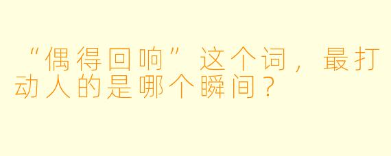 “偶得回响”这个词，最打动人的是哪个瞬间？