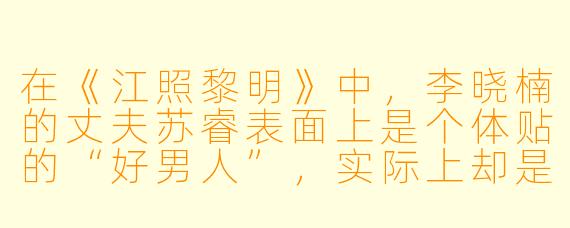 在《江照黎明》中，李晓楠的丈夫苏睿表面上是个体贴的“好男人”，实际上却是个家暴、出轨甚至试图杀妻骗保的恶人。请问这部剧是如何通过细节来揭露这种“伪善”的？