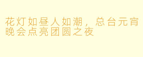 花灯如昼人如潮，总台元宵晚会点亮团圆之夜