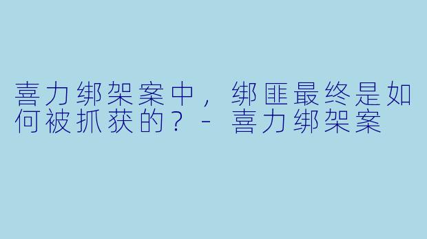 喜力绑架案中，绑匪最终是如何被抓获的？-喜力绑架案