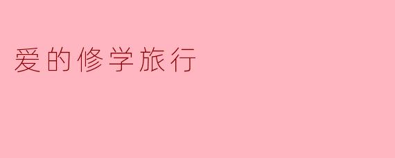在《爱的修学旅行》中，哪一刻让你觉得“爱”真的需要学习？