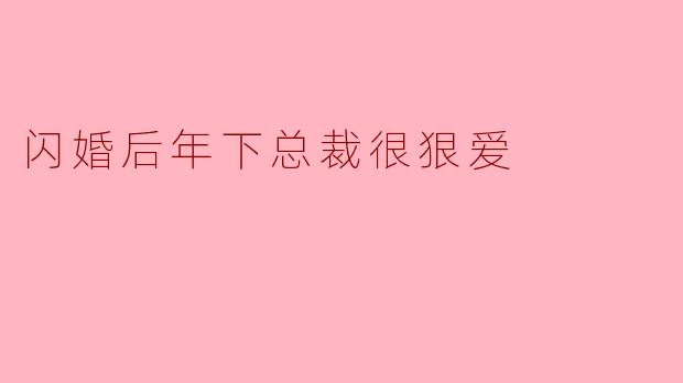 闪婚后年下总裁很狠爱