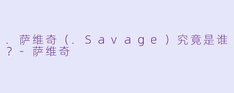 .萨维奇（.Savage）究竟是谁？