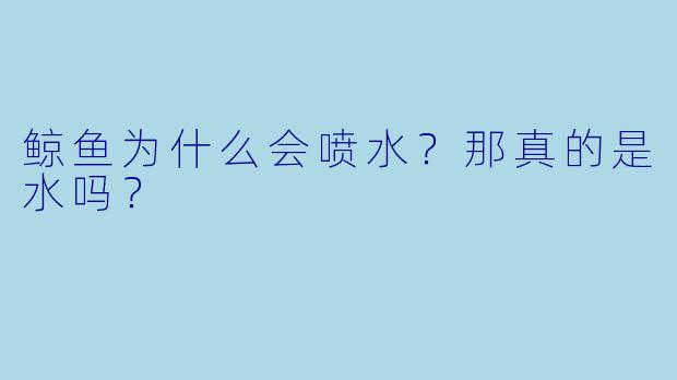 鲸鱼为什么会喷水？那真的是水吗？
