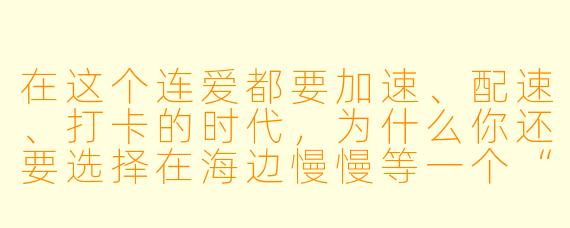 在这个连爱都要加速、配速、打卡的时代，为什么你还要选择在海边慢慢等一个“不速食”的答案？