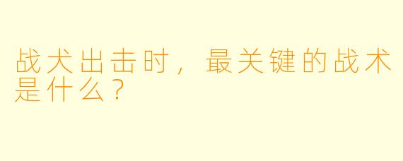 战犬出击时，最关键的战术是什么？