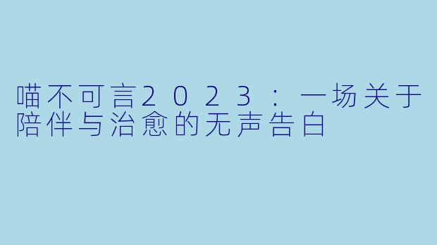 喵不可言2023：一场关于陪伴与治愈的无声告白