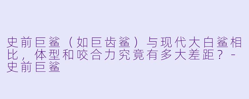 史前巨鲨(如巨齿鲨)与现代大白鲨相比,体型和咬合力究竟有多大差距?-史前巨鲨
