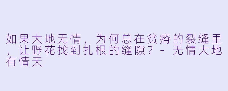 如果大地无情，为何总在贫瘠的裂缝里，让野花找到扎根的缝隙？-无情大地有情天