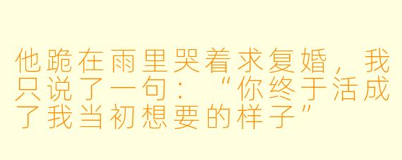 他跪在雨里哭着求复婚，我只说了一句：“你终于活成了我当初想要的样子”