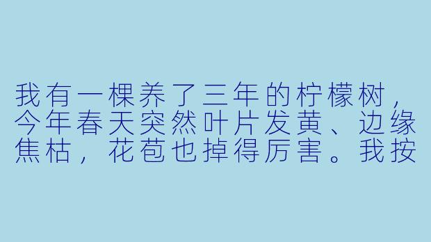 我有一棵养了三年的柠檬树,今年春天突然叶片发黄、边缘焦枯,花苞也掉得厉害。我按时浇水施肥,怎么还会这样?问题出在哪里?