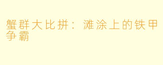 蟹群大比拼:滩涂上的铁甲争霸