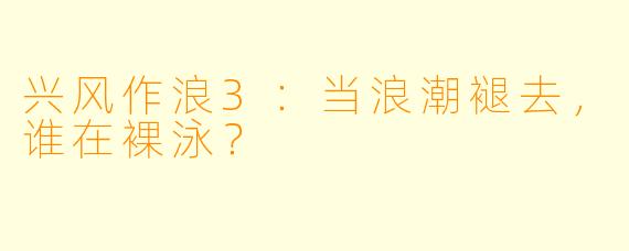 兴风作浪3:当浪潮褪去,谁在裸泳?