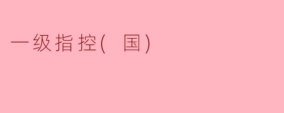 一级指控(国)