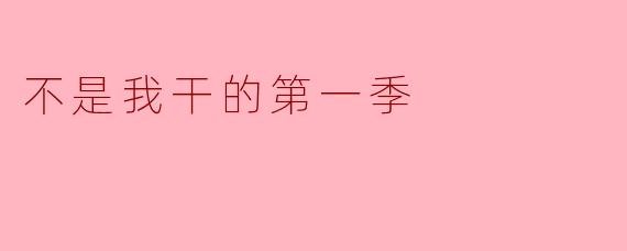 不是我干的第一季