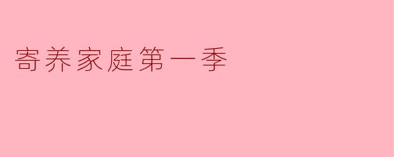 寄养家庭第一季