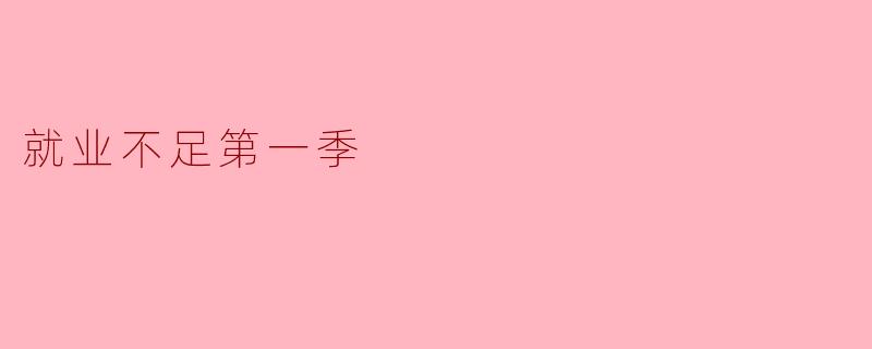 就业不足第一季