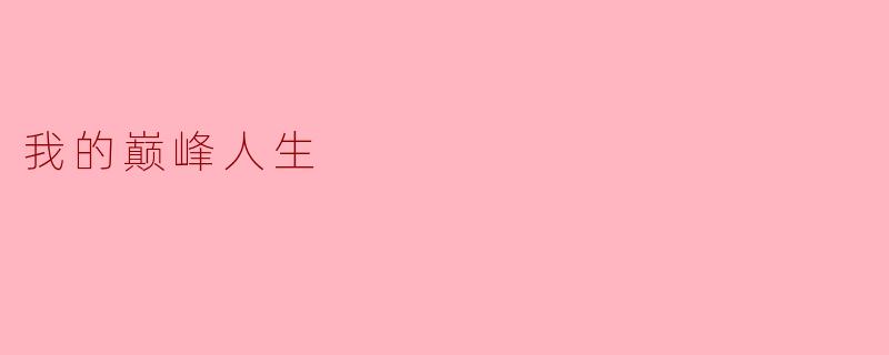 我的巅峰人生