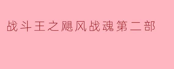 战斗王之飓风战魂第二部