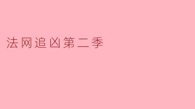 法网追凶第二季
