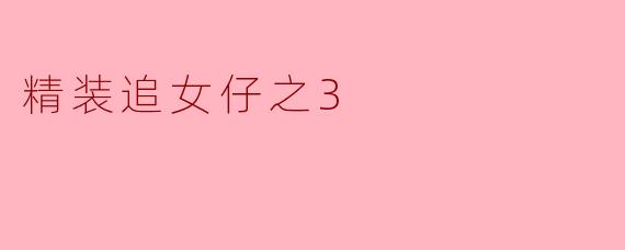 精装追女仔之3