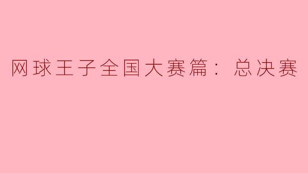 网球王子全国大赛篇：总决赛
