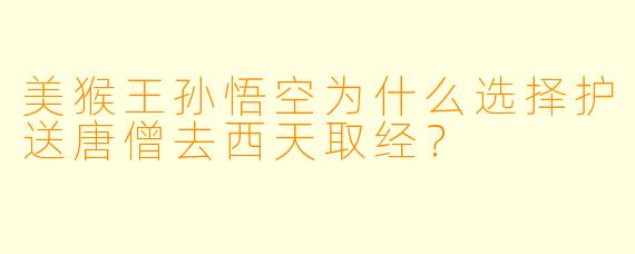 美猴王孙悟空为什么选择护送唐僧去西天取经？