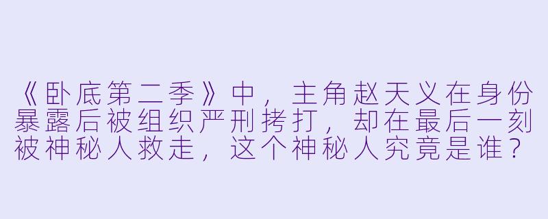 《卧底第二季》中,主角赵天义在身份暴露后被组织严刑拷打,却在最后一刻被神秘人救走,这个神秘人究竟是谁?他的出现对后续剧情有什么关键影响?-卧底第二季