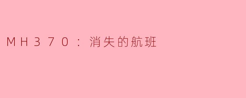 MH370：消失的航班